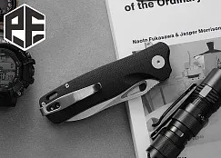 Складной нож Petrified Fish Bunta PF868D