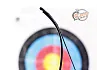 Лук традиционный Rolan Snake 60" 22#