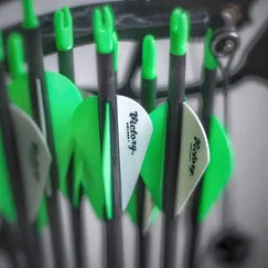 Стрела лучная карбоновая Victory VAP Sport 400