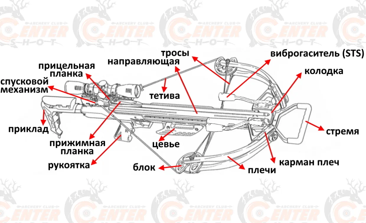 Техническое устройство современного арбалета — полезные статьи  интернет-магазина Centershot